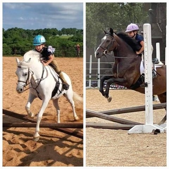 Meet your Posher, Niki - Picture 1 of 1